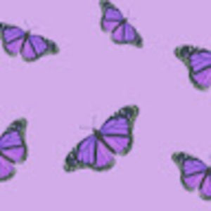 Meet your Posher, Genesis